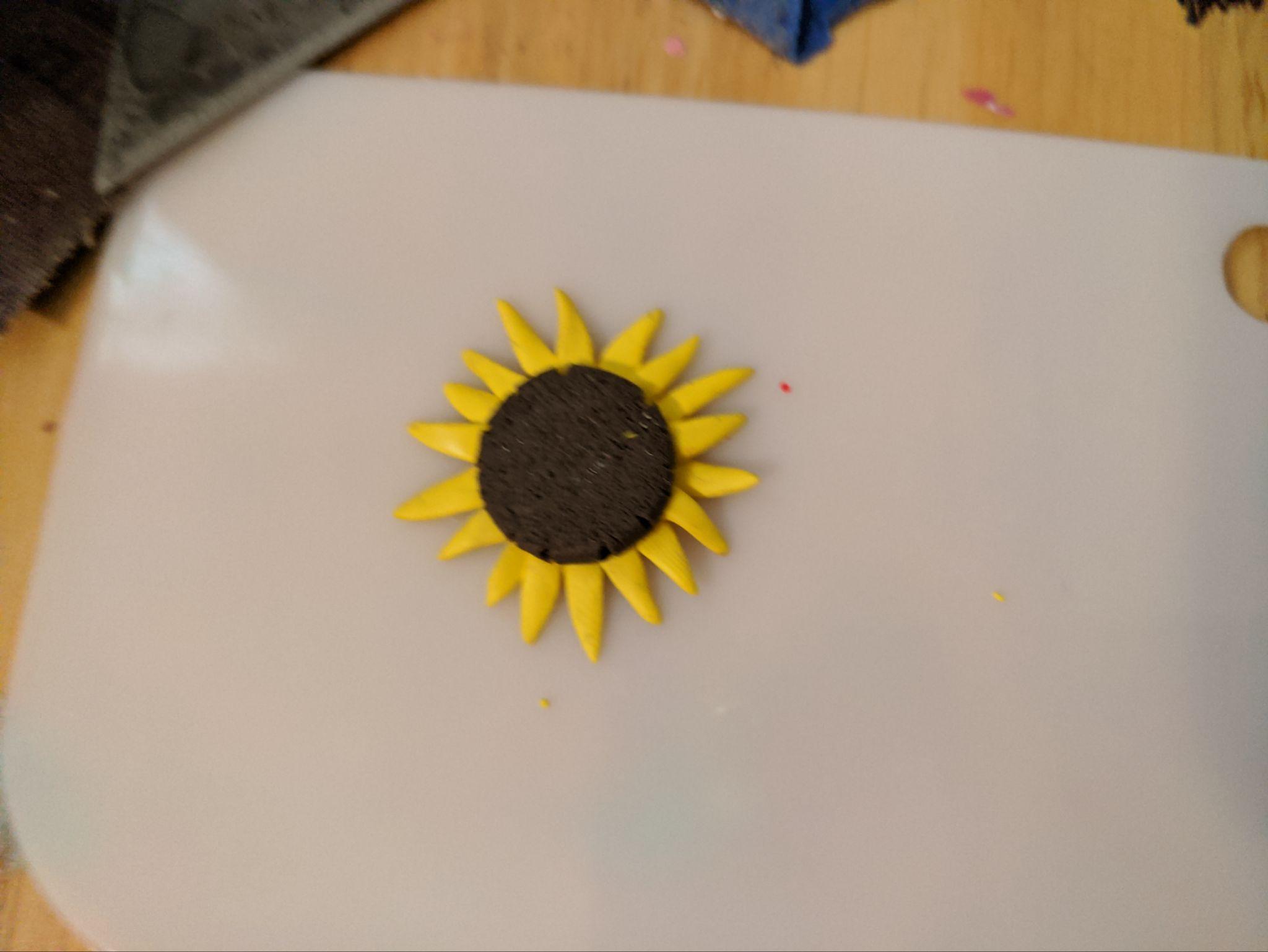 Step 6 photographic guide