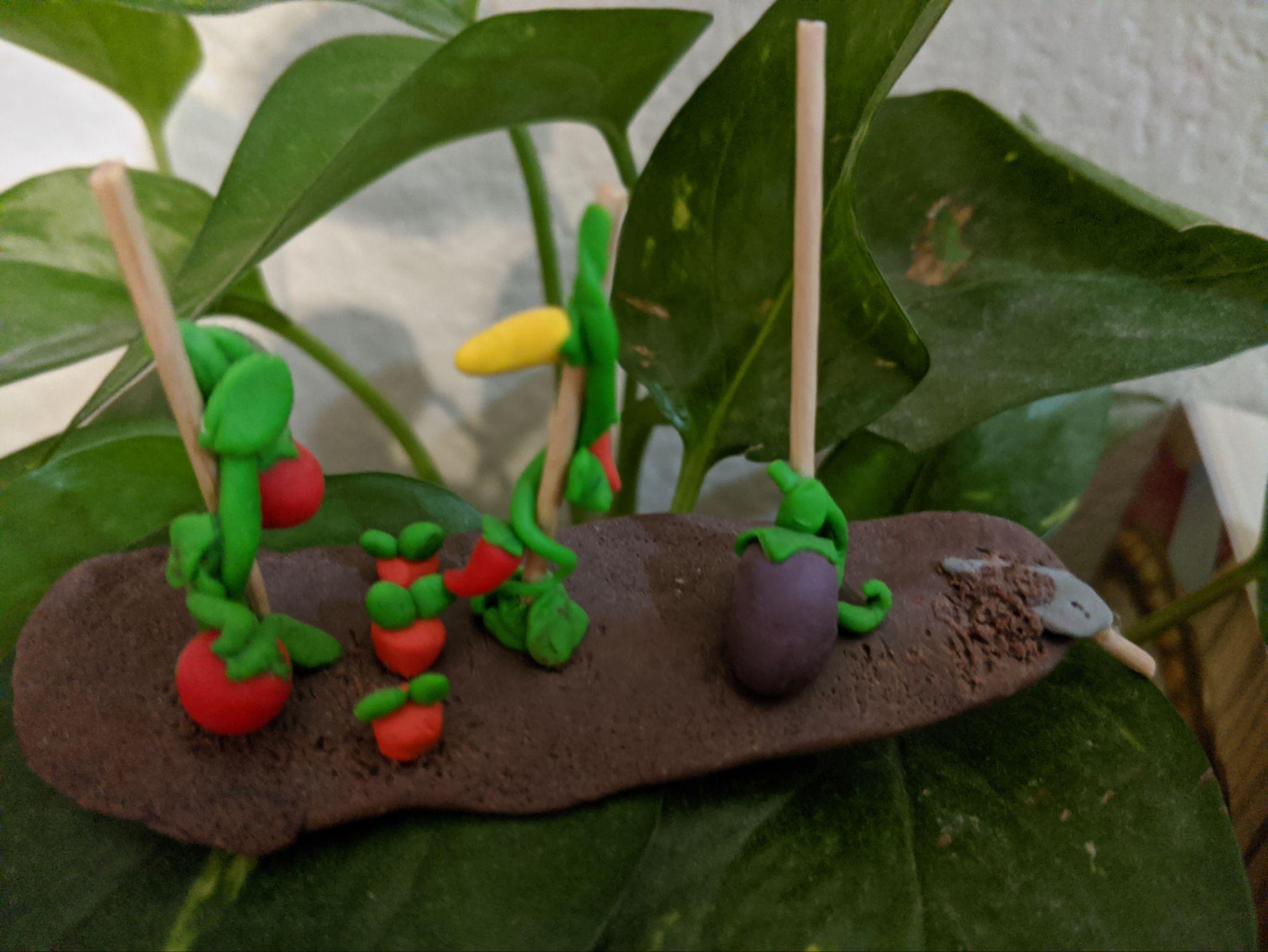 The Garden Challenge